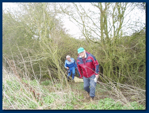 600x449 pixels (205K)